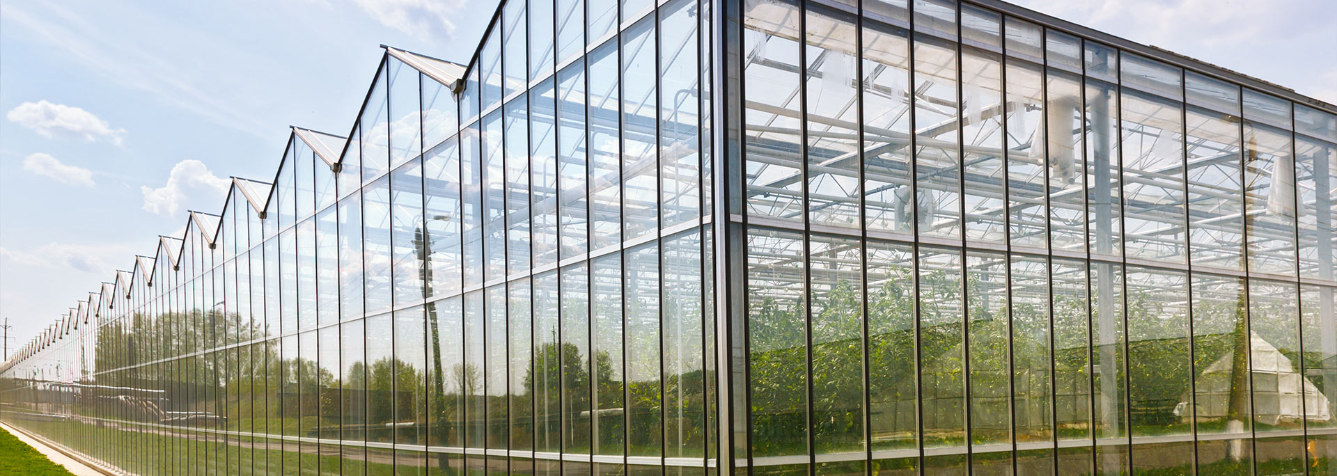 德林溫室-實力雄厚