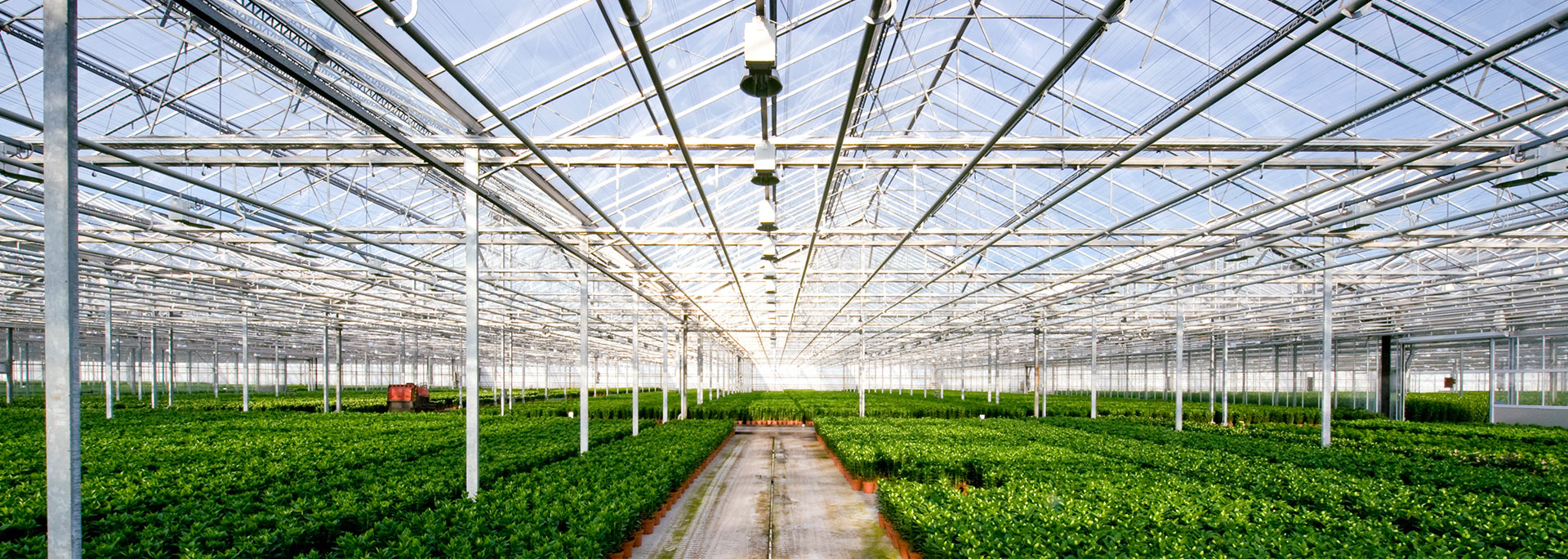 德林溫室-優質團隊