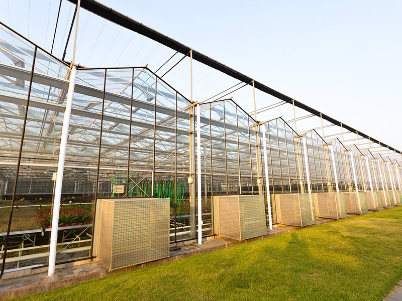 溫室大棚的原理是什么？